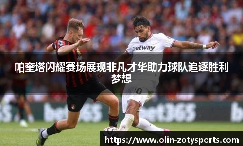 Zoty中欧体育